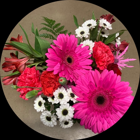 Profile Picture of Océanne Gracovetsky (@mkatherineg33) on Poshmark