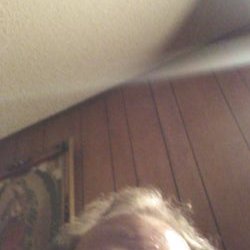 Profile Picture of Freeman Walters (@FreemanWalters7) on Twitter