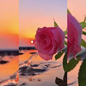 Rosemary Silva - Youtube Profile Picture of Rosemary Silva (@RosemarySilva-ov3ip) on Youtube