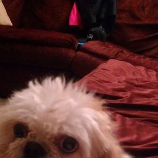 Profile Picture of Bubbie Tappert (@bubbie.tappert) on Facebook