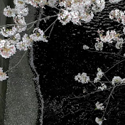 Profile Picture of Ian Dsouza (@iandsouza510) on Youtube