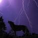 Profile Picture of James Bashaw (@jamesjbashaw) on Pinterest