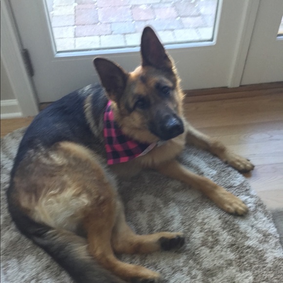 Profile Picture of Amanda Chrzan (@conra1am) on Poshmark