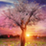 Kai Xu - Flickr Profile Picture of Kai Xu (@xiangluo) on Flickr