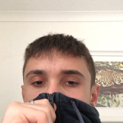 Profile Picture of Tom Stickels (@TomStickels2) on Twitter