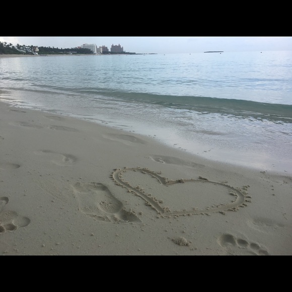 Profile Picture of Zomaira Mansuy (@zoomzoom082019) on Poshmark