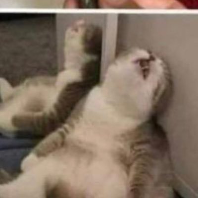 Colin Mandel - Twitter Profile Picture of Colin Mandel (@ColinMandel) on Twitter