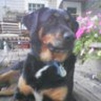 Profile Picture of Darcy Bremicker (@darcy-bremicker) on Quora