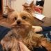Profile Picture of Cecelia Perry (@cecelia.perry.1044) on Facebook