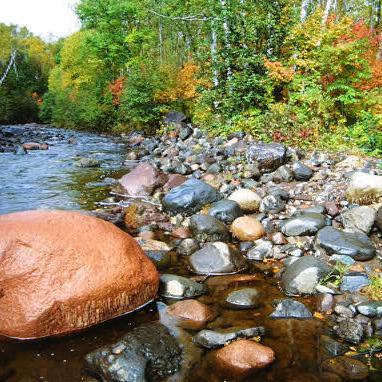 Profile Picture of Sham Lal (@Shamlal224455) on Twitter