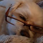 Profile Picture of Jodie Ingram (Nicholls) (@jodie.ingram.12) on Instagram