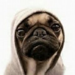Profile Picture of Barry_Raff (@Baza_Raff) on Twitter