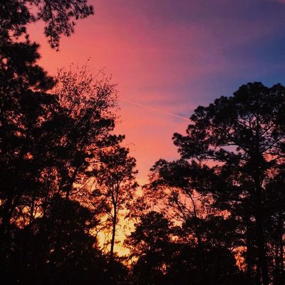 Zulma Alvarado - Twitter Profile Picture of Zulma Alvarado (@ZulmaAlvarado10) on Twitter