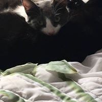 Profile Picture of Jonathan Rubie (@jonathanrubie1970) on Pinterest