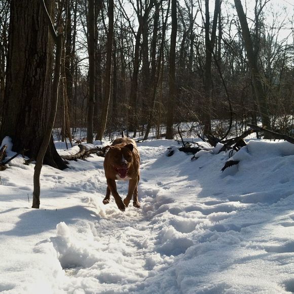 Profile Picture of Joseph Rosally (@rosally88) on Poshmark