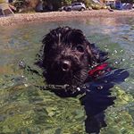 Profile Picture of John Lazos (@john_lazos) on Instagram