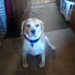 Michelle Ludlow - Instagram Profile Picture of Michelle Ludlow (@michelle_wee_bee) on Instagram