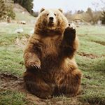 Profile Picture of Michael (@michael_crusius) on Instagram