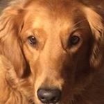 Profile Picture of Paul Eckler (@paul_eckler) on Instagram