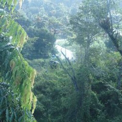 Profile Picture of Candy Charles (@candaisycharles) on Twitter