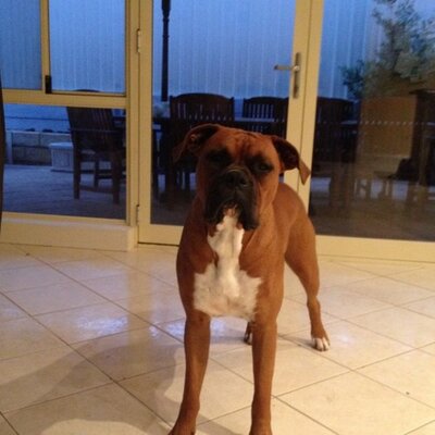 Profile Picture of Kris Dennis (@krisdennis9) on Twitter