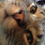Profile Picture of Emily Judge (@emily_judge24) on Instagram