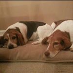 Profile Picture of Sheila O'Reilly (@sheila_oreilly) on Instagram