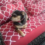 Profile Picture of Loretta Ladd (@loretta.ladd.35) on Facebook