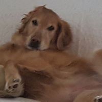 Profile Picture of Roger Benson (@roger-benson-12) on Quora