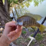 Profile Picture of Cassandra Porteous (@cassandra.porteous.2025) on Facebook