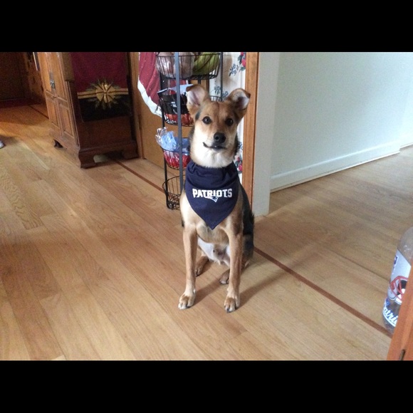 Profile Picture of Frank Engel (@patfaninct) on Poshmark