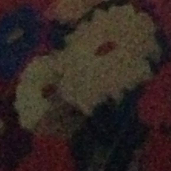 Profile Picture of Rachel Shulman (@rachelfw) on Poshmark