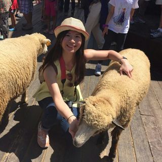 Profile Picture of Vicky Chau (@vicky.chau.169) on Facebook