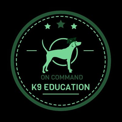 Profile Picture of Bobbi Jo Teel (@bobbi_teel) on Twitter