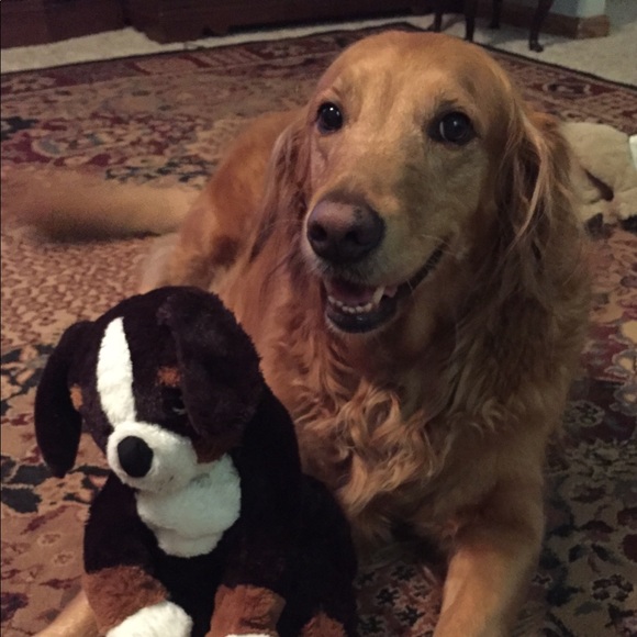 Profile Picture of Trish Cottam (@tcottam) on Poshmark