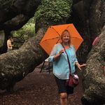 Profile Picture of Barbara Ann Reuter Cox (@barbaraannreuter) on Instagram