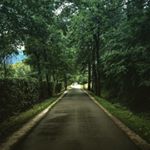 Profile Picture of Yifan Zhu (@uselesswonders) on Instagram