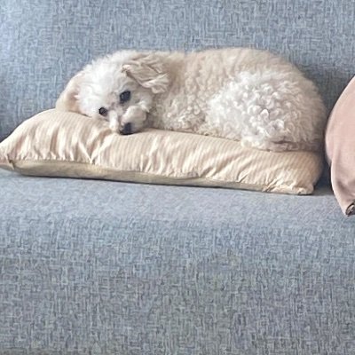 Profile Picture of julia somma (@maju_somma) on Twitter