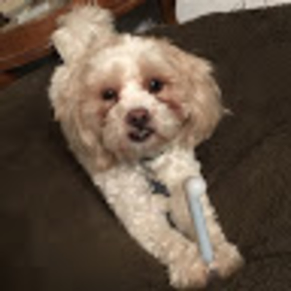 Profile Picture of Angel Matty (@angelmatty03) on Poshmark