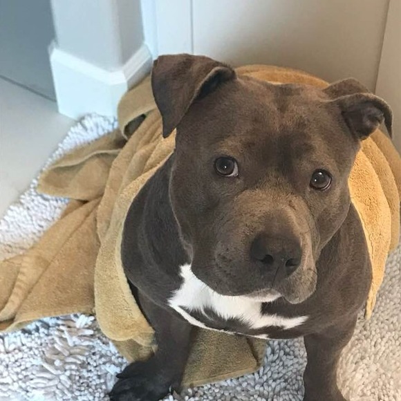 Profile Picture of Sheila Thomason robey (@srobey1648) on Poshmark