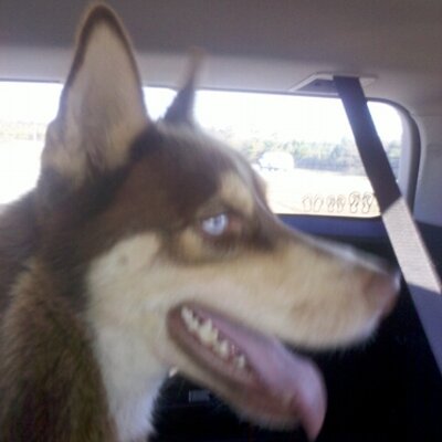 Profile Picture of Jonathan Riggs (@JonathanRiggs1) on Twitter