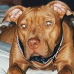 Profile Picture of Chuck Mathis (@chuck_mathis) on Instagram