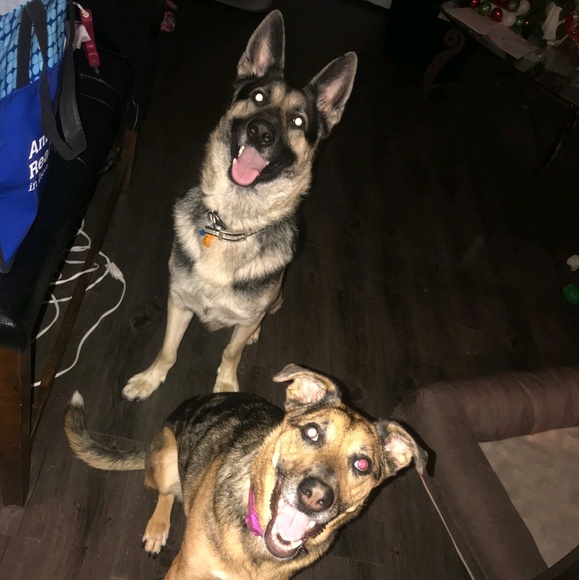 Profile Picture of Jerrod Temple (@jerroddtemple) on Poshmark