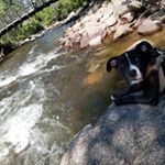 Profile Picture of Aaron Roderick♉ (@asianpersuasion51) on Instagram