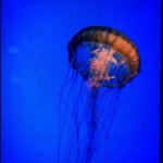 Profile Picture of Michael Valentine (@theemichaelvalentine) on Instagram