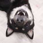 Profile Picture of Анастасия Гусарова (@gusarova2327) on Instagram