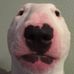 Profile Picture of Jason Host (@jason.host.10) on Facebook