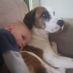 Profile Picture of Brian Levandoski (@bee.levandoski.5) on Facebook