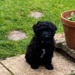 Neil Roscoe - Instagram Profile Picture of Neil Roscoe (@neil.roscoe.54) on Instagram