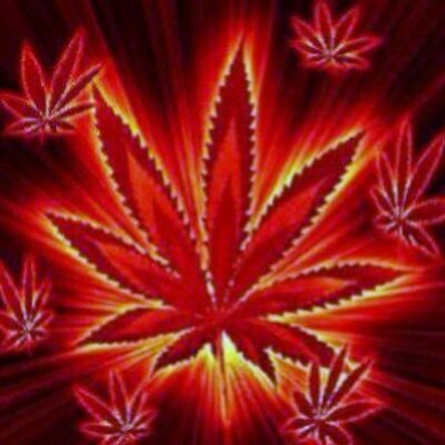 Profile Picture of Kevin Kam (@kevinkam5) on Twitter